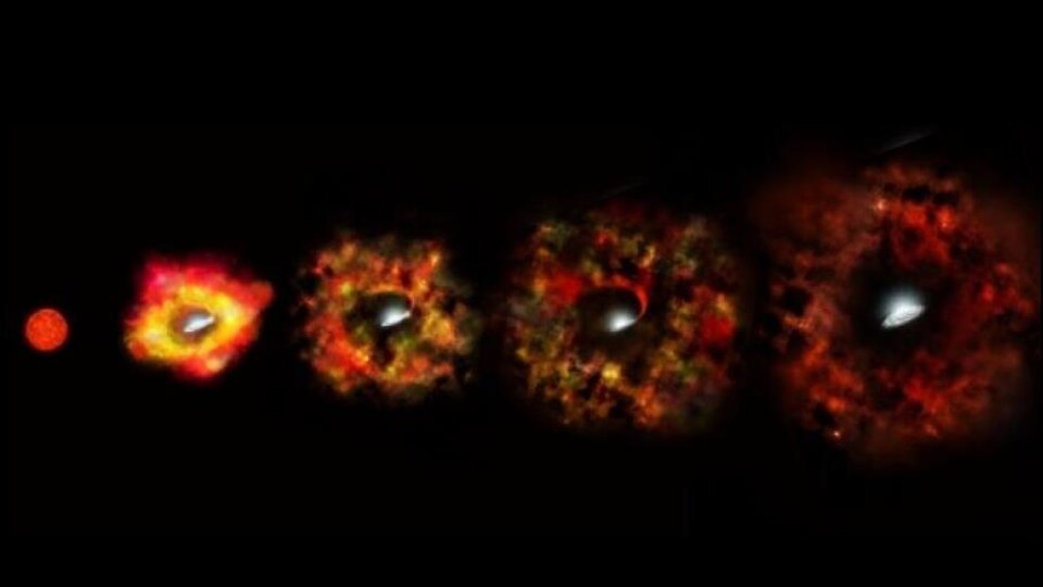 Dans cet échec de la transformation d’une étoile en supernova, l'enveloppe de l'étoile est éjectée et prend de l’expansion, produisant une source froide et rouge entourant le trou noir nouvellement formé, comme l'illustre cette image composée (de gauche à droite). Certains matériaux résiduels peuvent tomber sur le trou noir, comme l'illustrent le flux et le disque, ce qui peut entraîner des émissions d'optique et d'infrarouges des années après l'effondrement.