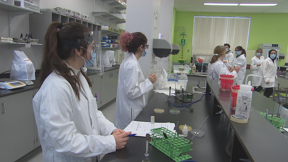 Des étudiantes participent à un cours donné dans un laboratoire.