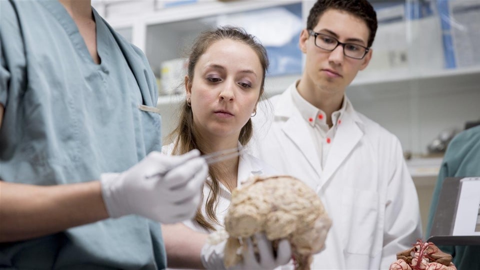 Des étudiants en médecine écoutent une présentation sur le système nerveux central.
