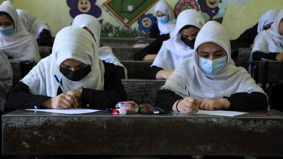 Des adolescentes écrivent dans une salle de classe.