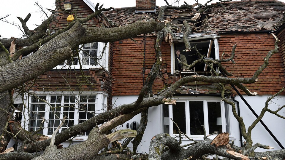 A house damaged by an uprooted oak tree.