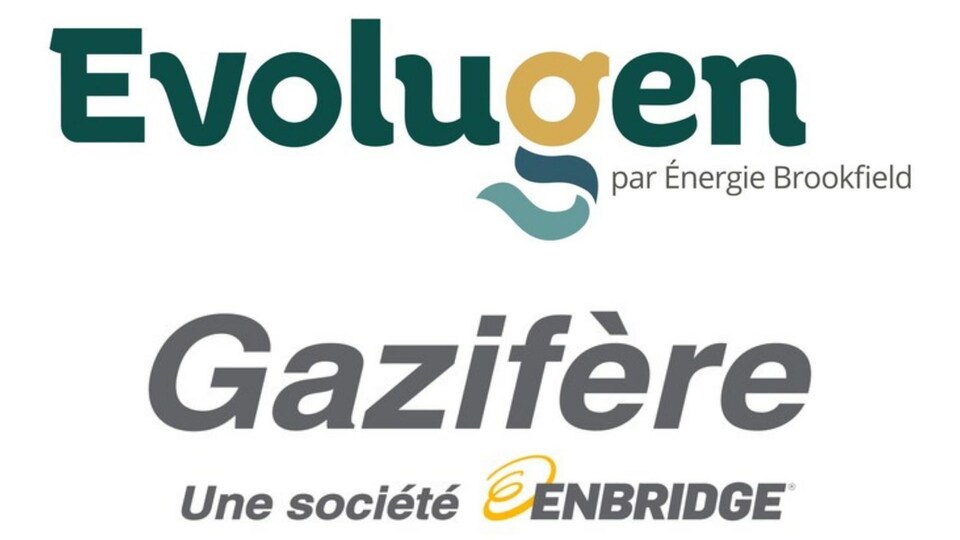 Montage photo des logos de compagnies.