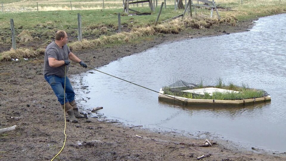 Steven Tannas tire avec une corde une structure flottante sur un plan d'eau.