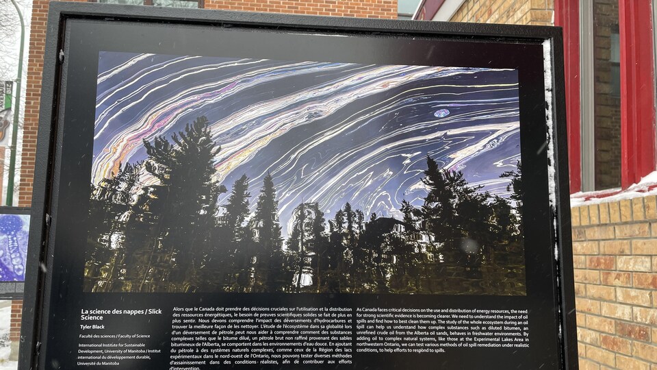 Photographie de Tyler Black, Faculté des sciences, Université du Manitoba.