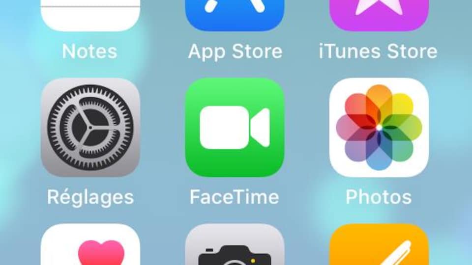 Logo de l'application FaceTime.