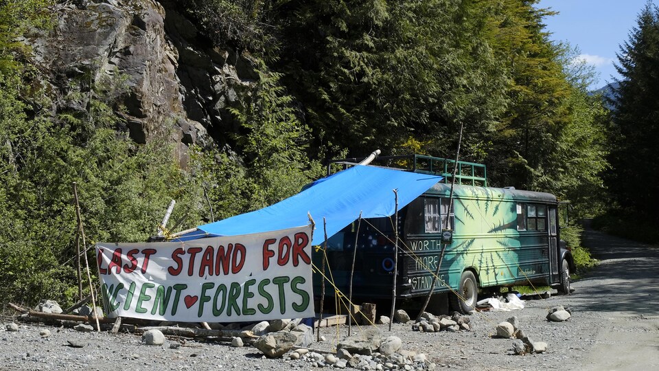 Un campement à Fairy Creek.