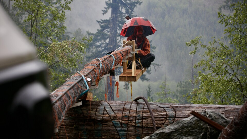 Un manifestant est attaché à un arbre à Fairy Creek.