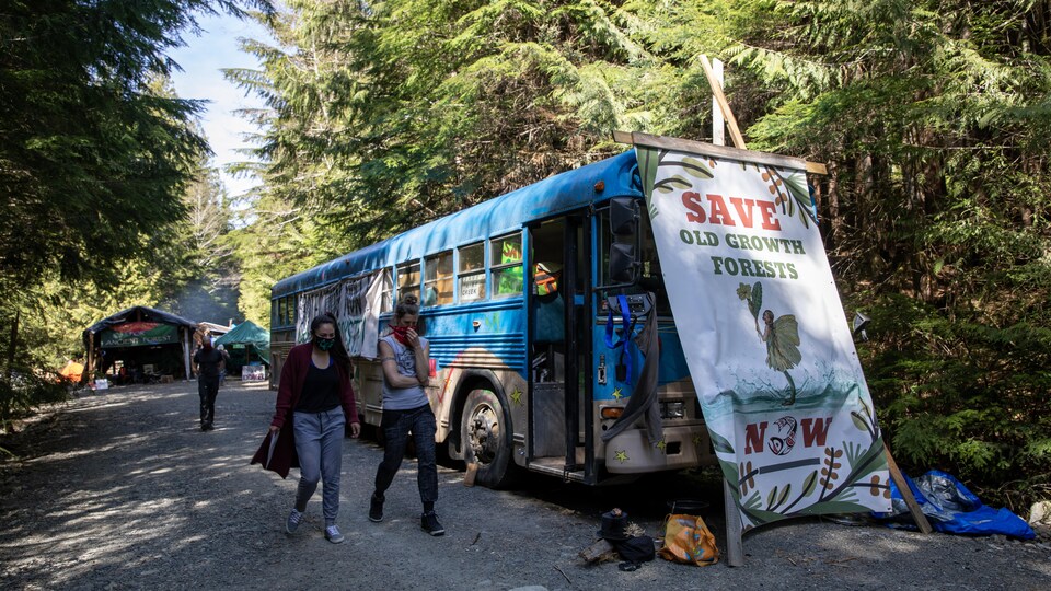 Des militants devant un autobus arrêté le long d'un chemin forestier, avec des affiches sur lesquelles sont inscrits des slogans pour la protection des forêts anciennes.