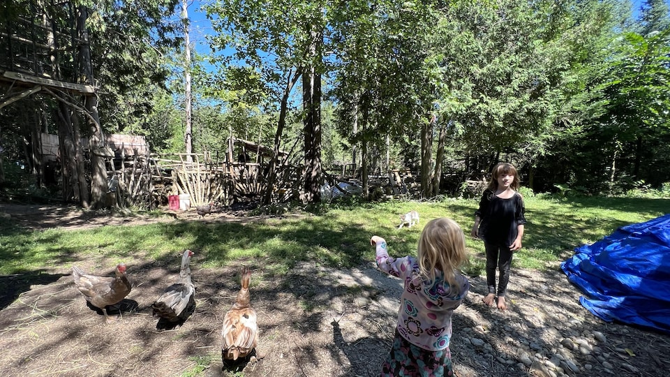 Sage et Aurora Murph'Ariens jouent entourées de canards sur la ferme.
