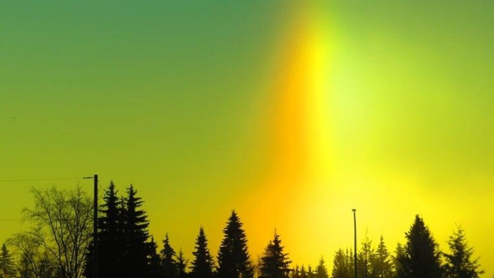 Un ciel vert et jaune qui brille au-dessus d'un boisée.