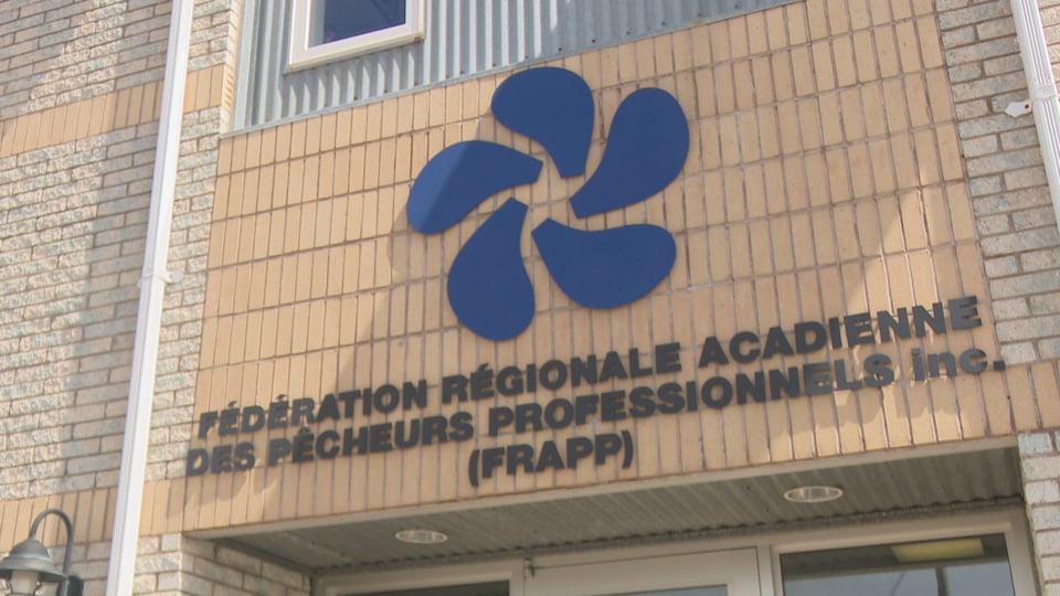 Les bureaux de la Fédération régionale acadienne des pêcheurs professionnels sont à Shippagan, N.-B.