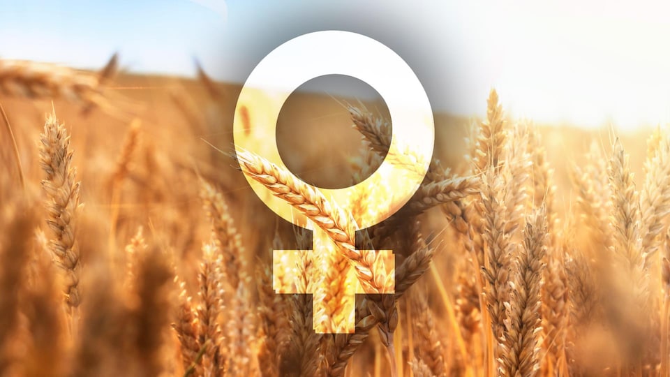 Signe de la femme avec un champ de blé en arrière-plan.