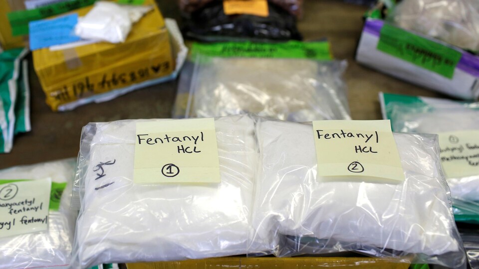 Sur une table, deux sacs remplis de poudre sont étiquetés « fentanyl ».