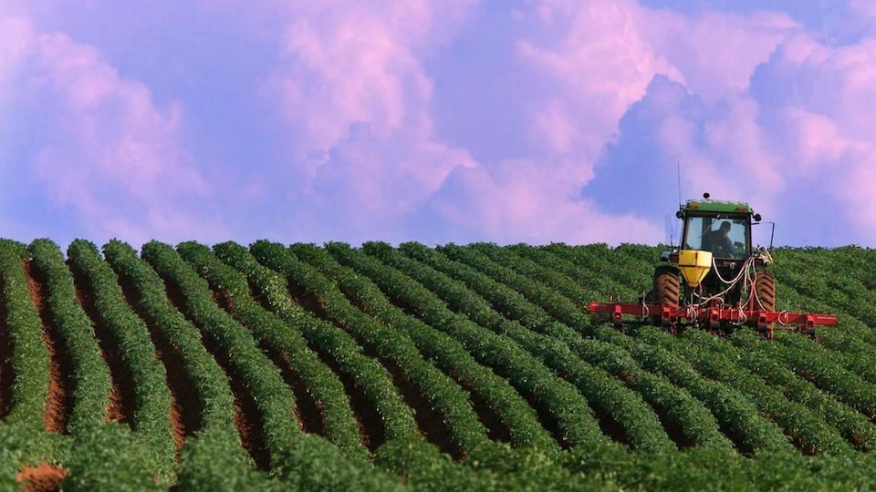 Un tracteur dans un champ sous un ciel mauve.