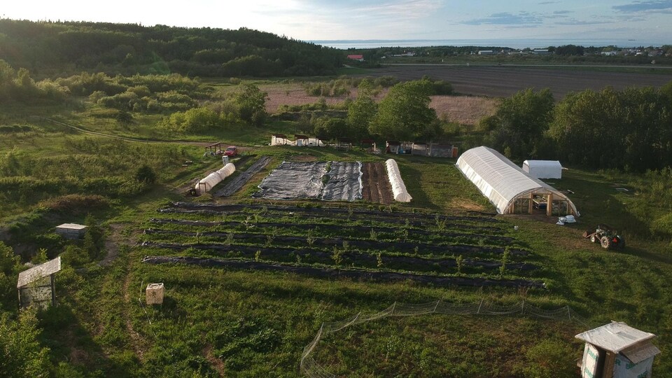 La ferme du Castor gras planche sur un projet agrotouristique