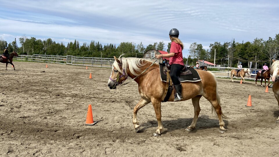 Un été achalandé à la ferme équestre CœurCorico de Moisie Radio