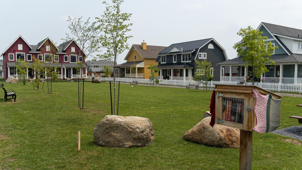 Des maisons colorées longent un espace vert.