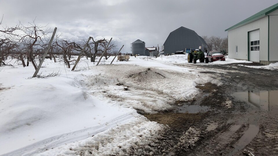 Un tracteur dans une ferme