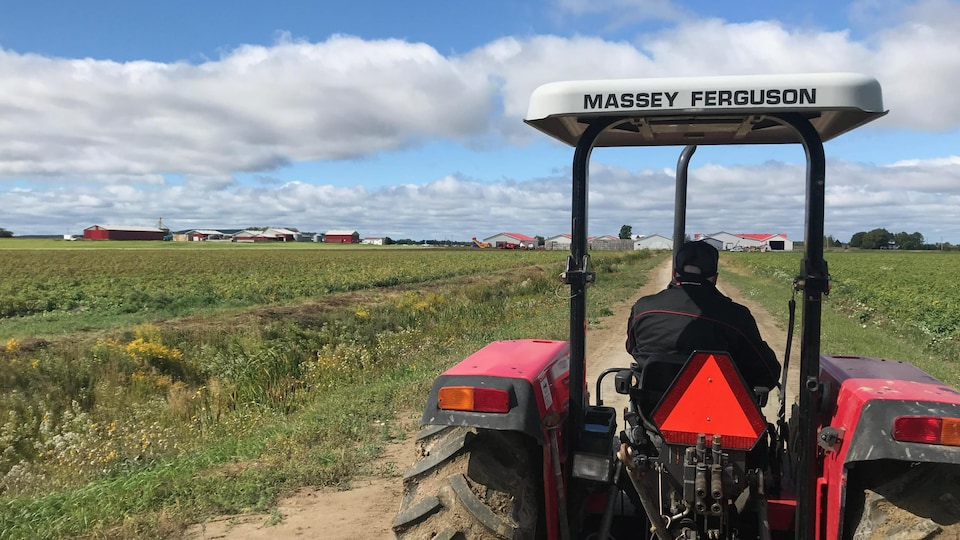 Un homme conduit un tracteur sur une terre agricole.