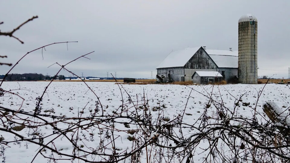 Une ferme en hiver.
