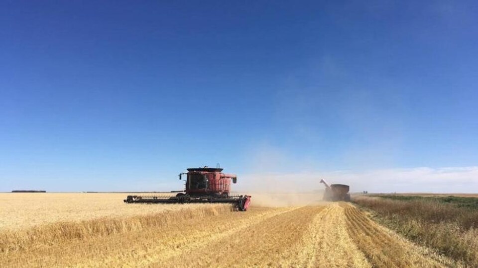 De la machinerie agricole dans un champ de blé.