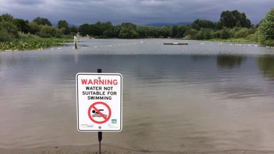 Un panneau indiquant l'interdiction de se baigner dans Trout Lake.