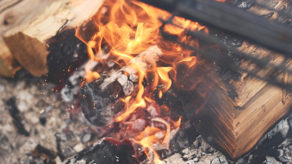 Les flammes, la braise et le bois d'un feu en hiver, pour y manger. On aperçoit un bout de grille.