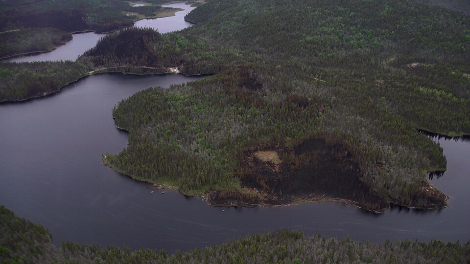 Encore Plusieurs Jours De Travail Pour Les Pompiers Forestiers Au Nord De Baie Comeau Radio Canada Ca