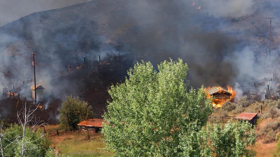 Le feu de forêt de Cherry Creek, qui a endommagé une propriété le 5 juillet 2017
