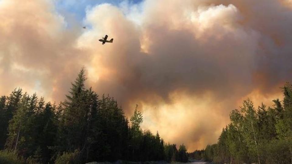 Un avion-citerne vole dans un nuage de fumée au-dessus des arbres.