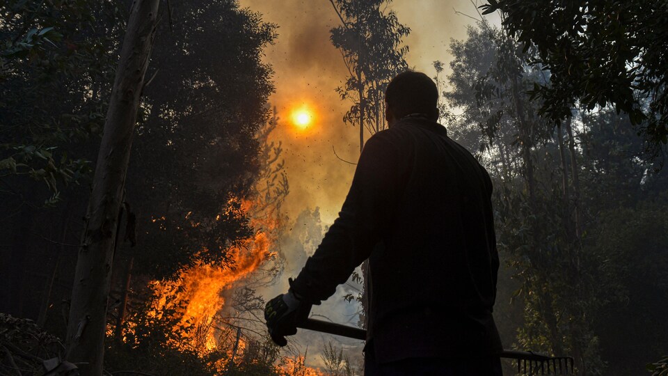Un homme, de dos, devant un feu de forêt.