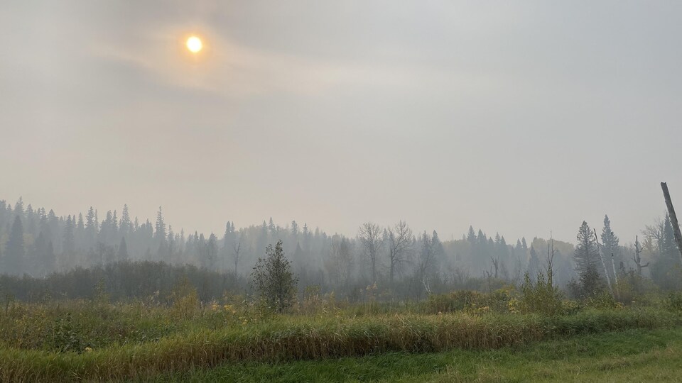 Un feu de forêt crée un nuage de fumée dans la région de Carrot River, en Saskatchewan, le 6 octobre 2021.