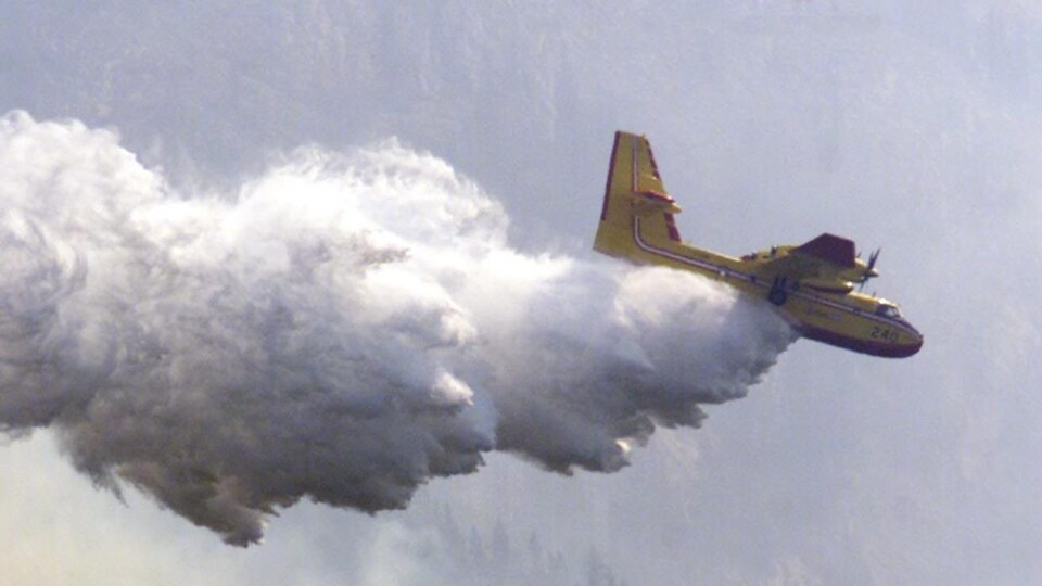 Un avion citerne arrose un feu de forêt