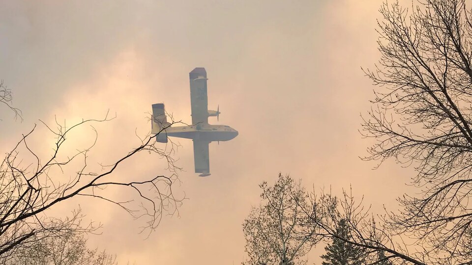Un avion qui sert à combattre les feux de forêt dans le ciel rempli de fumée.