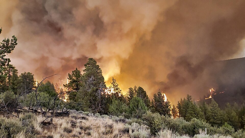 Un feu qui fait rage dans l'Oregon, le dimanche 11 juillet 2021.