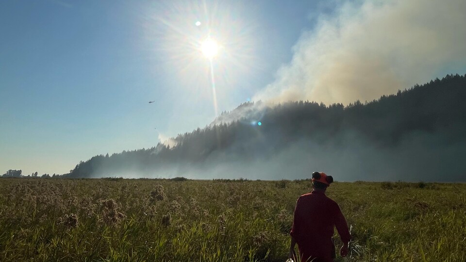 Un homme marche dans un champ en direction d'un feu de forêt.