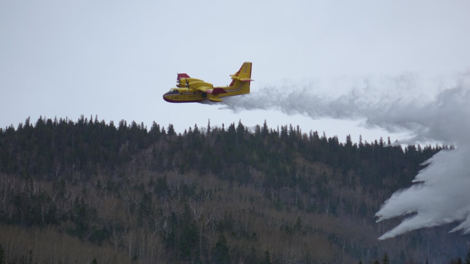 Un avion-citerne au-dessus de la forêt du mont Saint-Pierre. 