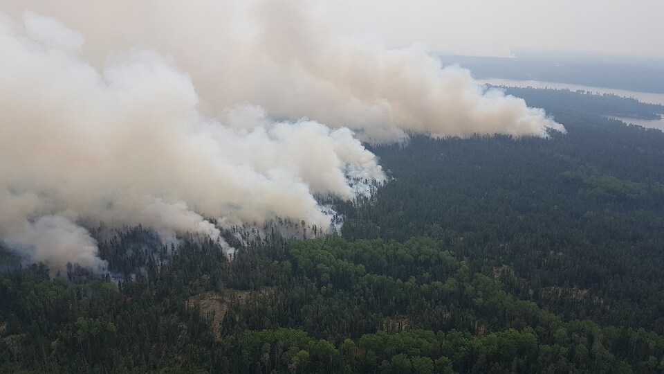 De la fumée s'échappe d'une forêt en feu.