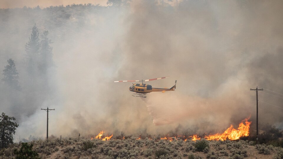 Feux De Foret La Pluie Donne Du Repit Mais Les Vents Sont Menacants Radio Canada Ca