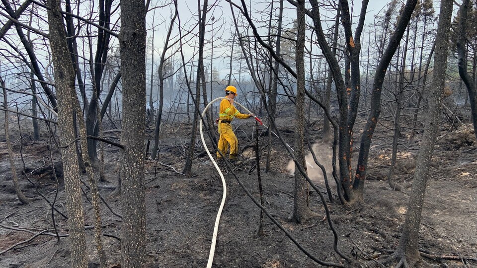 Le pompier arrose avec sa lance d'incendie un point chaud sur le sol calciné.