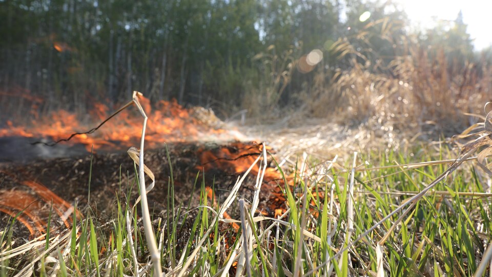 Le feu de forêt en bordure de Prince Albert, en Saskatchewan, le 18 mai 2021.