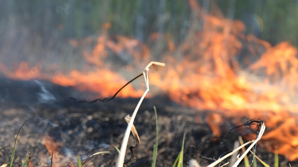 Le feu de forêt en bordure de Prince Albert, en Saskatchewan, le 18 mai 2021.
