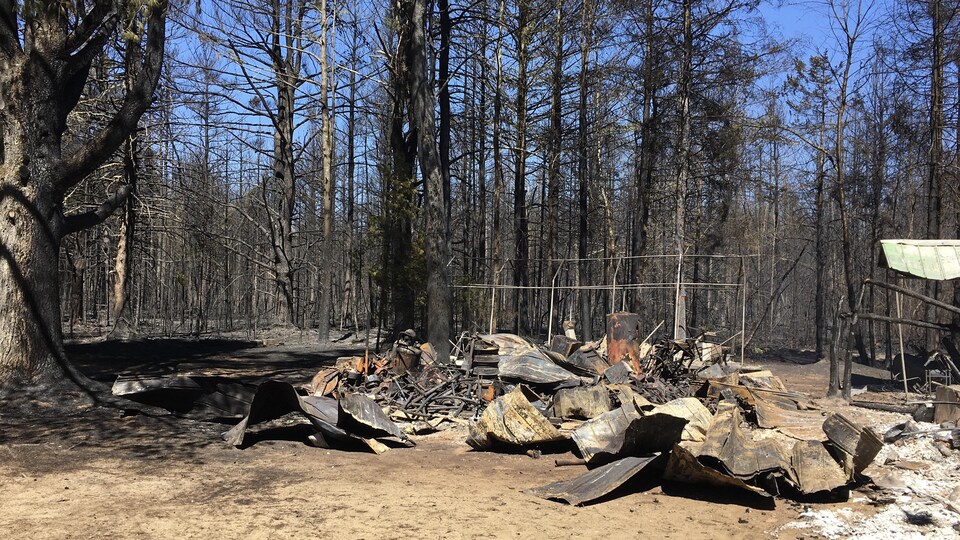 Le feu de forêt de SaintÉtiennedesGrès est maintenant maîtrisé
