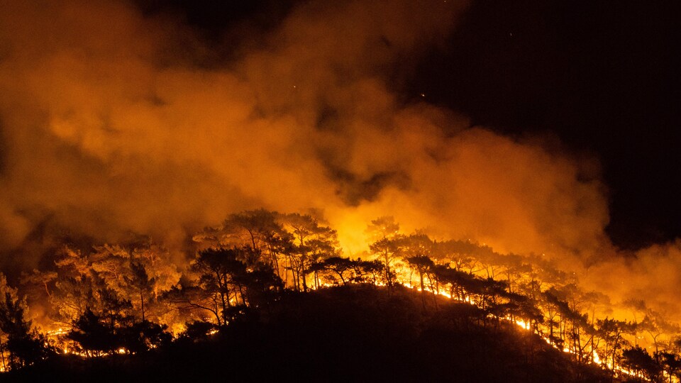 Un feu de forêt, la nuit.