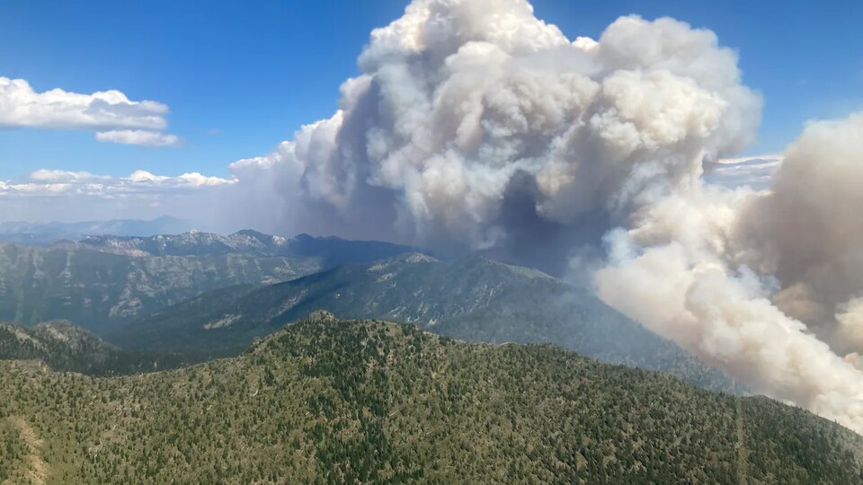 Un immense panache de fumée s'émane du feu de forêt Weasel Creek à la frontière canado-américaine le 30 juillet 2022.