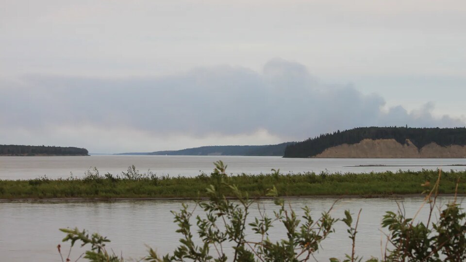 Un panache de fumée est aperû au loin dans une forêt au bord d'un grand plan d'eau.
