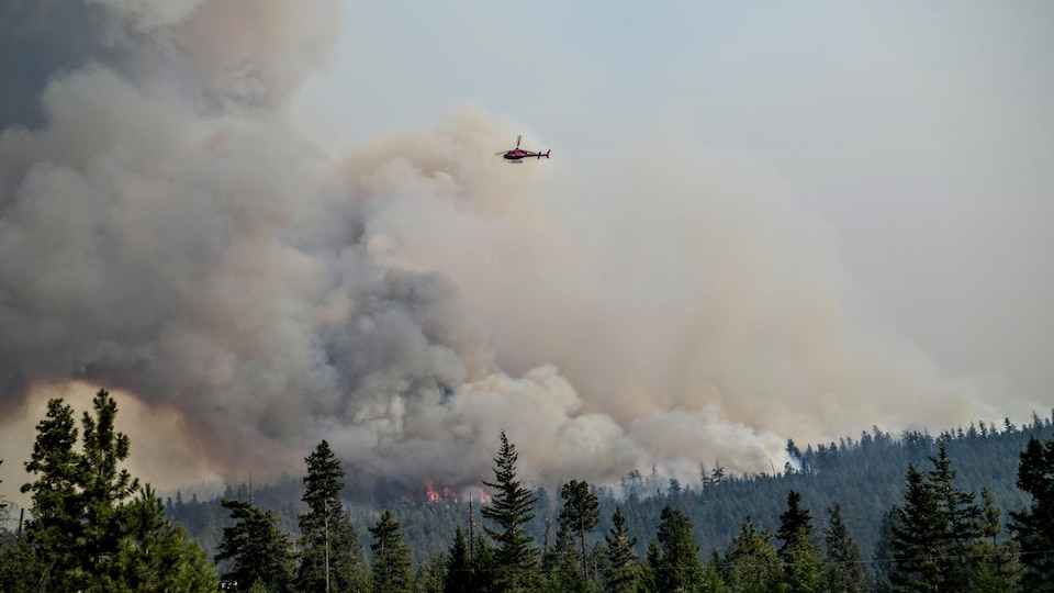 Un hélicoptère survole un feu de forêt.