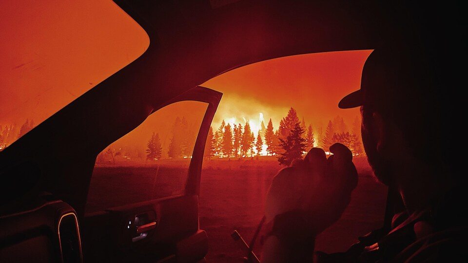 Un pompier observe des arbres brûlés de sa voiture.