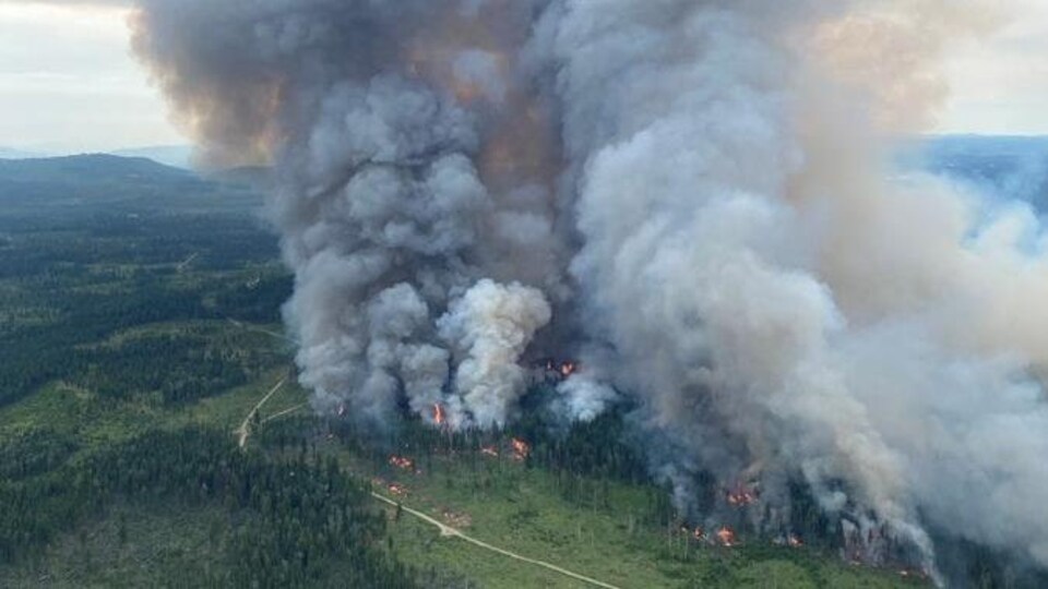 Un grand feu contrôlé.