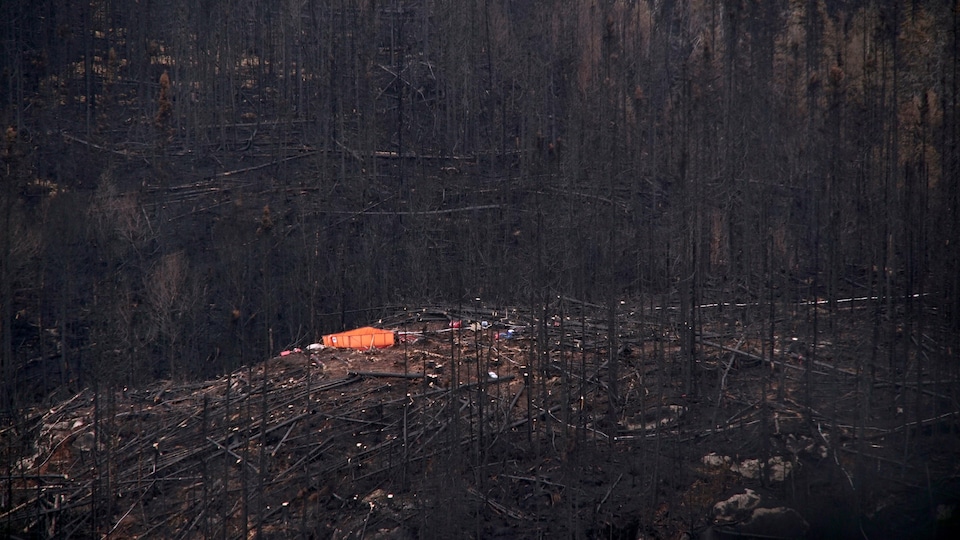 Une forêt brulée vue des airs avec du matériel de pompiers.